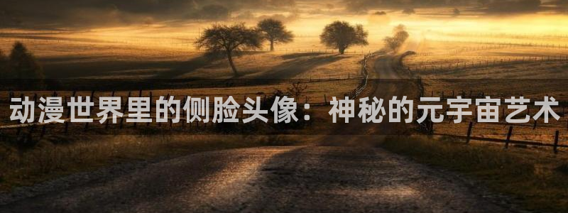 2026YY漫画免费阅读:动漫世界里的侧脸头像:神秘的元宇宙艺术配图