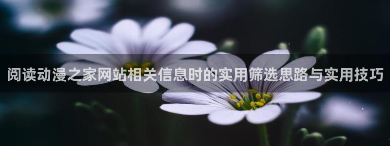 YY漫画最新完结：阅读动漫之家网站相关信息时的实用筛选思路与实用技巧配图