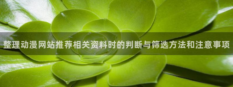 YY治愈漫画:整理动漫网站推荐相关资料时的判断与筛选方法和注意事项配图