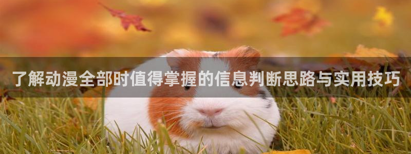 YY漫画最新:了解动漫全部时值得掌握的信息判断思路与实用技巧配图